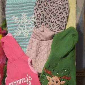 Assorted Dog Sweaters and Hoodies